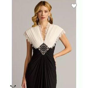 Tadashi Shoji “Amelie” NWT sz16 Never Worn